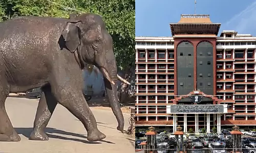 High Court criticizes Sabu Jacobs plea to provide security for arikkomban, High Court criticizes Sabu Jacobs plea to provide security for arikkomban,