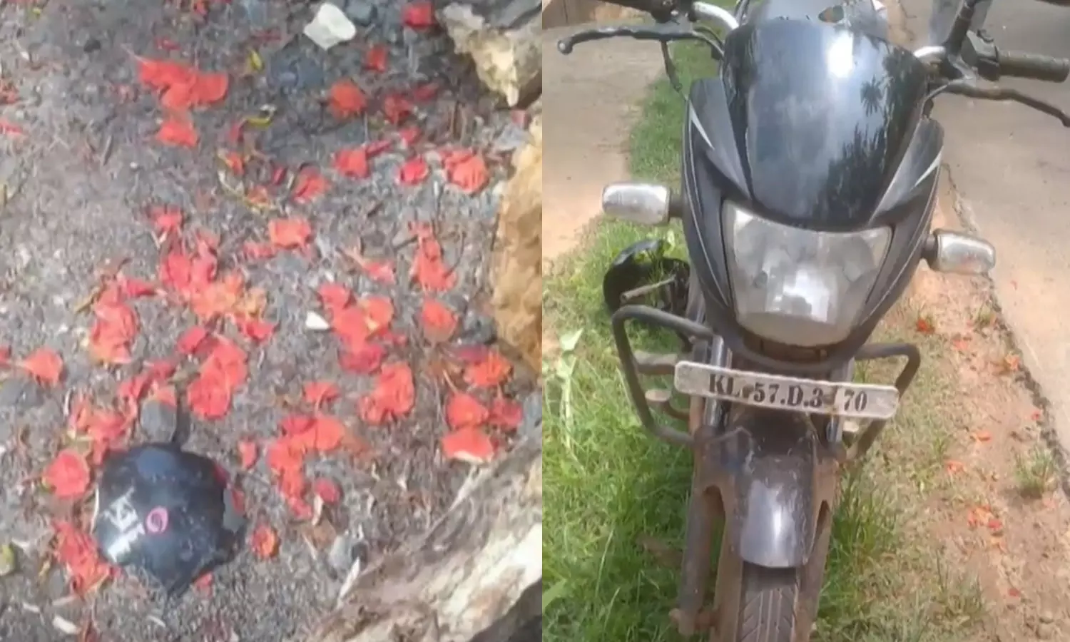 Teacher dies after tree falls on motor bike