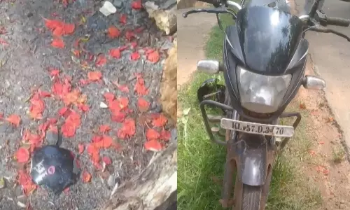 Teacher dies after tree falls on motor bike