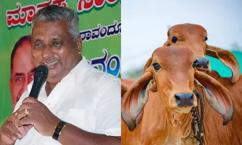 If buffaloes, oxen can be slaughtered, why not cows Says Karntaka minister