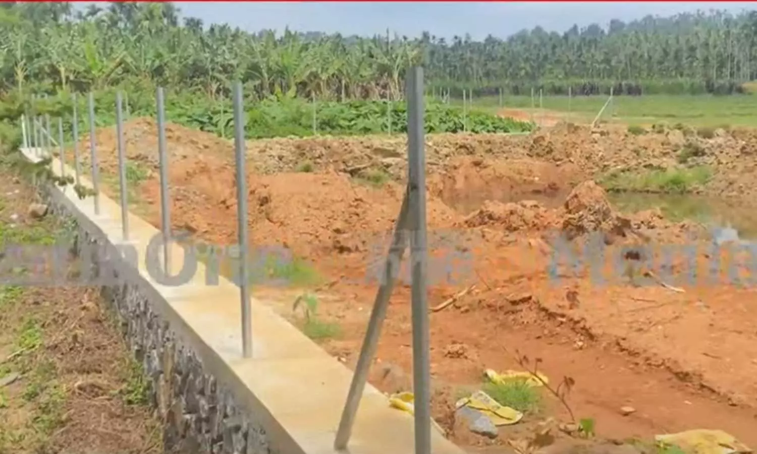 Illegal resort,Construction of a resort in Wayanad by filling fields and hilltops,വയനാട്ടിൽ വയൽ നികത്തിയും കുന്നിടിച്ചും റിസോർട്ട് നിർമാണം; കിലോമീറ്ററോളം റോഡും കരിങ്കൽഭിത്തിയും നിർമിച്ചു,breaking news malayalam