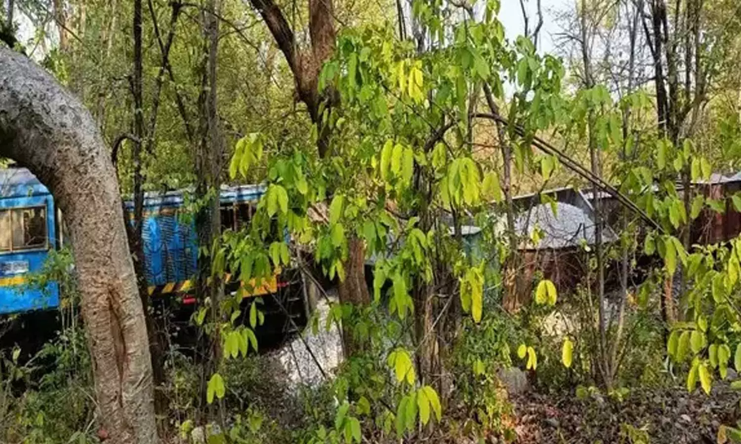 5 coaches of a goods train derail in Odisha