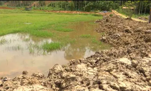 വയനാട് കുണ്ടാല വയലിലെ നിർമാണ പ്രവർത്തനങ്ങൾക്ക് സ്റ്റോപ്പ് മെമ്മോ | മീഡിയവണ്‍ ഇംപാക്ട്