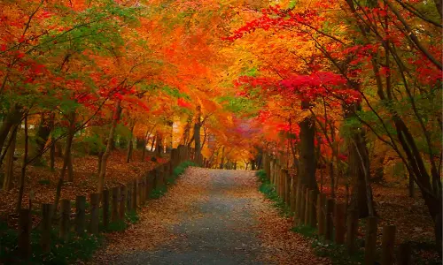 ഓര്‍മകള്‍ പൂക്കുന്ന ഇടനാഴിയിലൂടെ ഒരിക്കല്‍ കൂടി