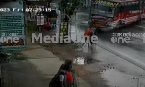 Kozhikode bus lost control and hit a tree