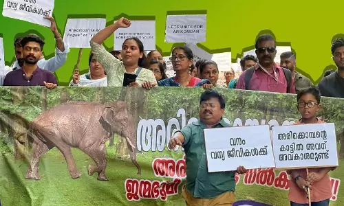 അരിക്കൊമ്പന്‍