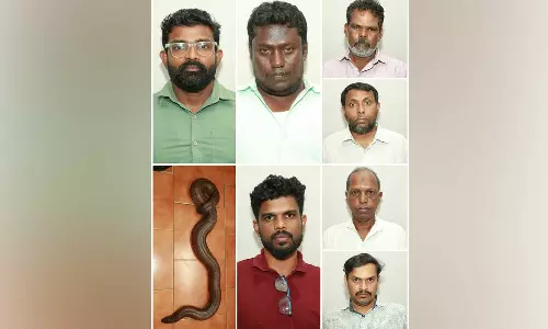 Seven people, including a health inspector, were arrested with double murder