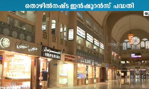 UAE Unemployment Insurance Scheme Registration is in progress