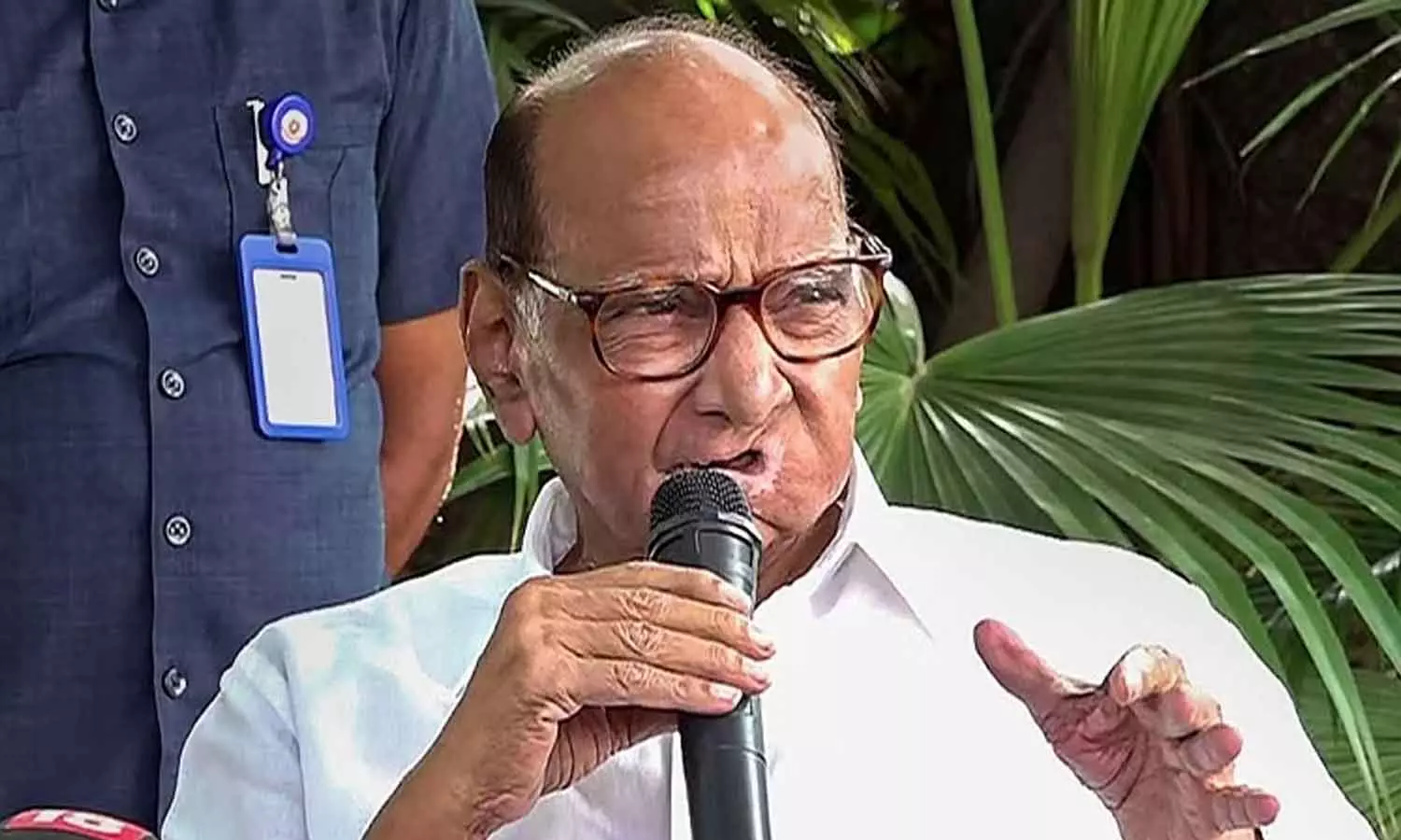 Sharad pawar about opposition unity Sharad pawar about opposition unity