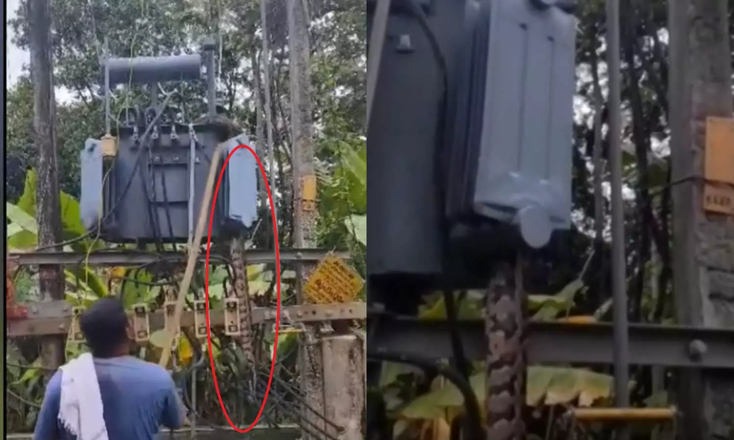 python got into the transformer and died of shock,ട്രാൻസ്ഫോമറിൽ കയറിയ പെരുമ്പാമ്പ് ഷോക്കേറ്റ് ചത്തു python got into the transformer and died of shock,ട്രാൻസ്ഫോമറിൽ കയറിയ പെരുമ്പാമ്പ് ഷോക്കേറ്റ് ചത്തു