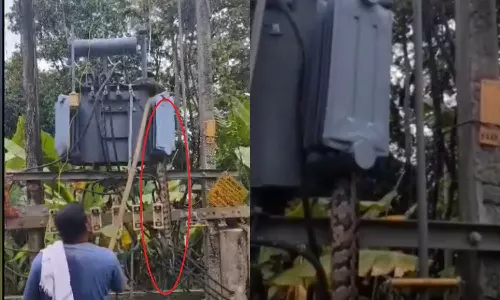 python got into the transformer and died of shock,ട്രാൻസ്ഫോമറിൽ കയറിയ പെരുമ്പാമ്പ് ഷോക്കേറ്റ് ചത്തു python got into the transformer and died of shock,ട്രാൻസ്ഫോമറിൽ കയറിയ പെരുമ്പാമ്പ് ഷോക്കേറ്റ് ചത്തു