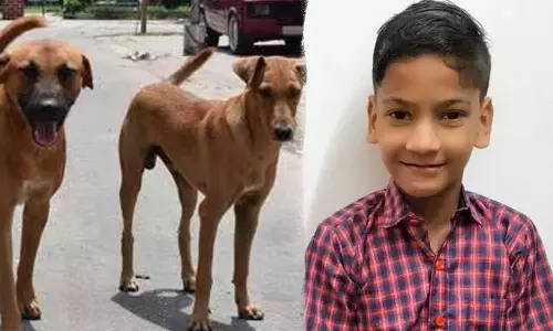 11-year-old differently abled Nihal Noushad-stray dog attack death followup, Kannur Muzhappilangadu stray dog attack death, Muzhappilangad, Nihal Noushad death