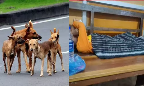 Another street attack; Two children were injured in Kasaragod