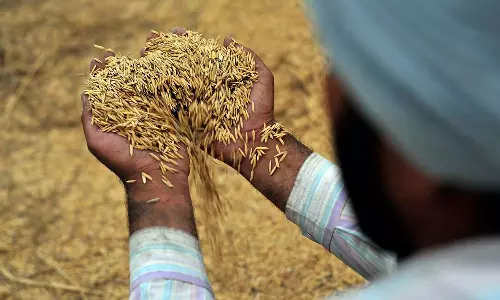 3 farmers dead after being run over by PWD officials car in UP