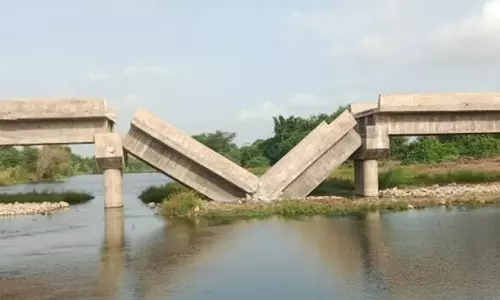 newly built bridge