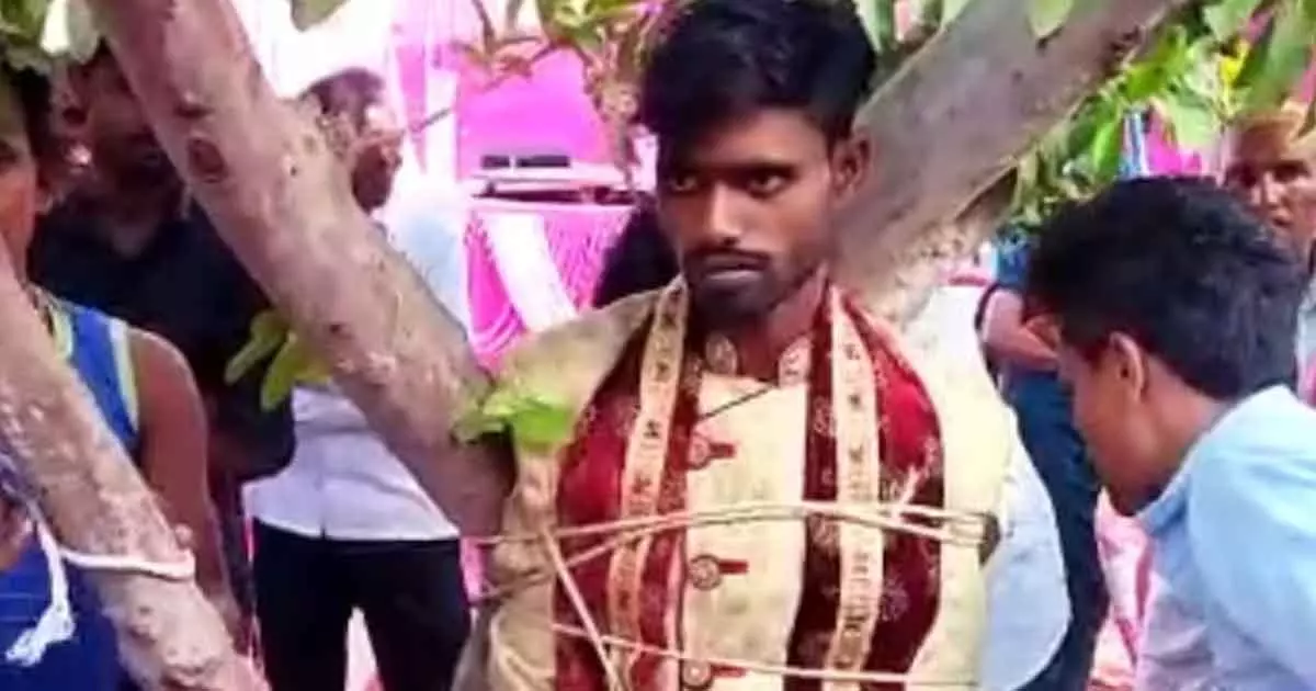 Groom tied to tree by brides family over dowry demand in uttar pradeh Pratapgarh Groom tied to tree by brides family over dowry demand in uttar pradeh Pratapgarh