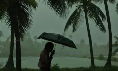 keralamonsoon,Weak monsoon in Kerala; no rain alert in kerala,കേരളത്തിൽ കാലവർഷം ദുർബലം; ജില്ലകളിൽ മഴ മുന്നറിയിപ്പില്ല