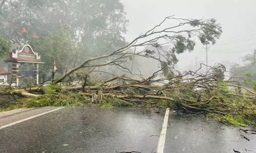 Cyclone Biparjoy Widespread Devastation In Gujarat
