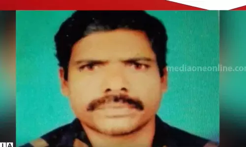 കാസർകോട്ട് തേനീച്ചയുടെ കുത്തേറ്റ് ഗൃഹനാഥൻ മരിച്ചു