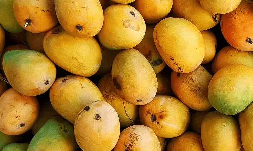 2 Brothers in Jharkhand Killed As Plucking Mangoes Leads To Clash With Another Group