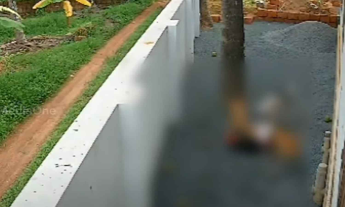 മുഴപ്പിലങ്ങാട്ട് വീണ്ടും തെരുവ് നായയുടെ ആക്രമണം; മൂന്നാം ക്ലാസുകാരിക്ക് കടിയേറ്റു മുഴപ്പിലങ്ങാട്ട് വീണ്ടും തെരുവ് നായയുടെ ആക്രമണം; മൂന്നാം ക്ലാസുകാരിക്ക് കടിയേറ്റു