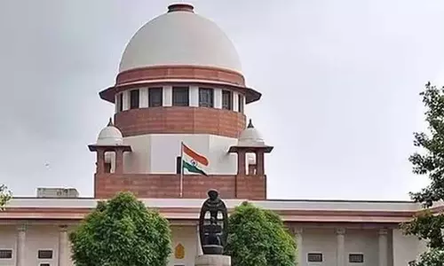 stray dog attack ,Supreme Court on stray dog attack  ​​in Kannur,stray dog attack kerala,latest malayalam news,കണ്ണൂരിൽ തെരുവുനായയുടെ ആക്രമണത്തിൽ ഭിന്നശേഷിക്കാരനായ കുട്ടി മരിച്ചത് ഭൗർഭാഗ്യകരം: സുപ്രീംകോടതി