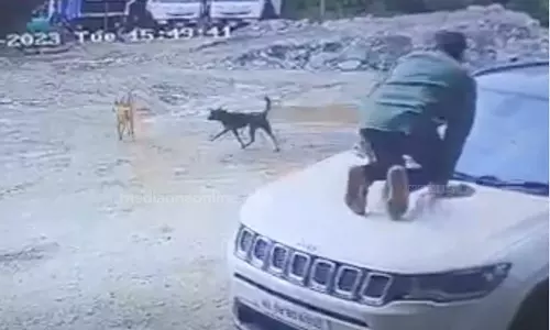 Stray dog attacks are on the rise in kerala; Human Rights Commission calls for immediate intervention,latest malayalam news,സംസ്ഥാനത്ത് തെരുവ് നായ ആക്രമണം രൂക്ഷമാകുന്നു; അടിയന്തര ഇടപെടൽ വേണമെന്ന് മനുഷ്യാവകാശ കമ്മീഷൻ Stray dog attacks are on the rise in kerala; Human Rights Commission calls for immediate intervention,latest malayalam news,സംസ്ഥാനത്ത് തെരുവ് നായ ആക്രമണം രൂക്ഷമാകുന്നു; അടിയന്തര ഇടപെടൽ വേണമെന്ന് മനുഷ്യാവകാശ കമ്മീഷൻ