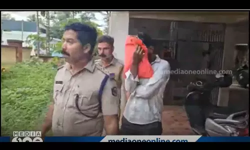 law student arrested with mdma