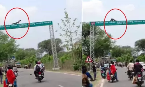 Drunk man does push-ups on high signboard in viral video,viral news today,viral video,social media viral video,മദ്യപിച്ച് ഉയരമുള്ള സൈൻബോർഡിൽ യുവാവിന്റെ പുഷ് അപ്പ്,