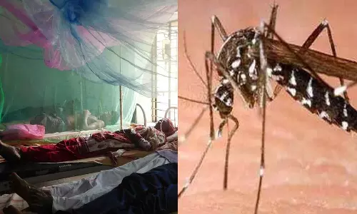 Dengue Fever in Kerala