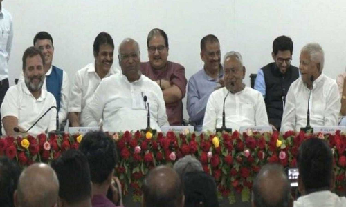 Lalu Prasad tells Rahul Gandhi, RJD president Lalu Prasad Yadav advises Rahul Gandhi to get married, RJD president, Lalu Prasad advises Rahul Gandhi, Rahul Gandhi, Lalu Prasad Yadav