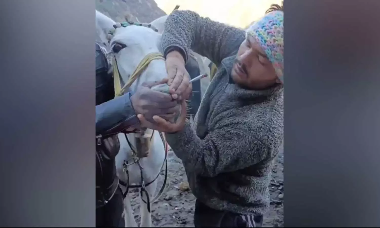 Police File Case After Video Of Horse Being Forced To Smoke Goes Viral