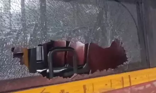 Woman throws stone at bus for not stopping at bus stop, fined Rs 5000