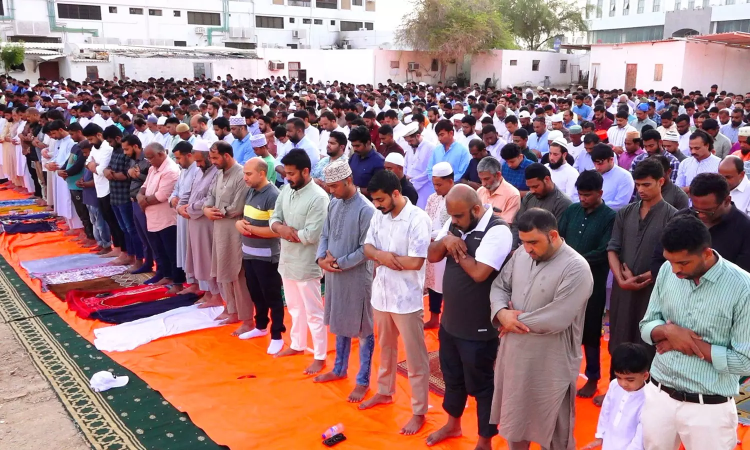 Oman celebrated Eid al Adha Oman celebrated Eid al Adha