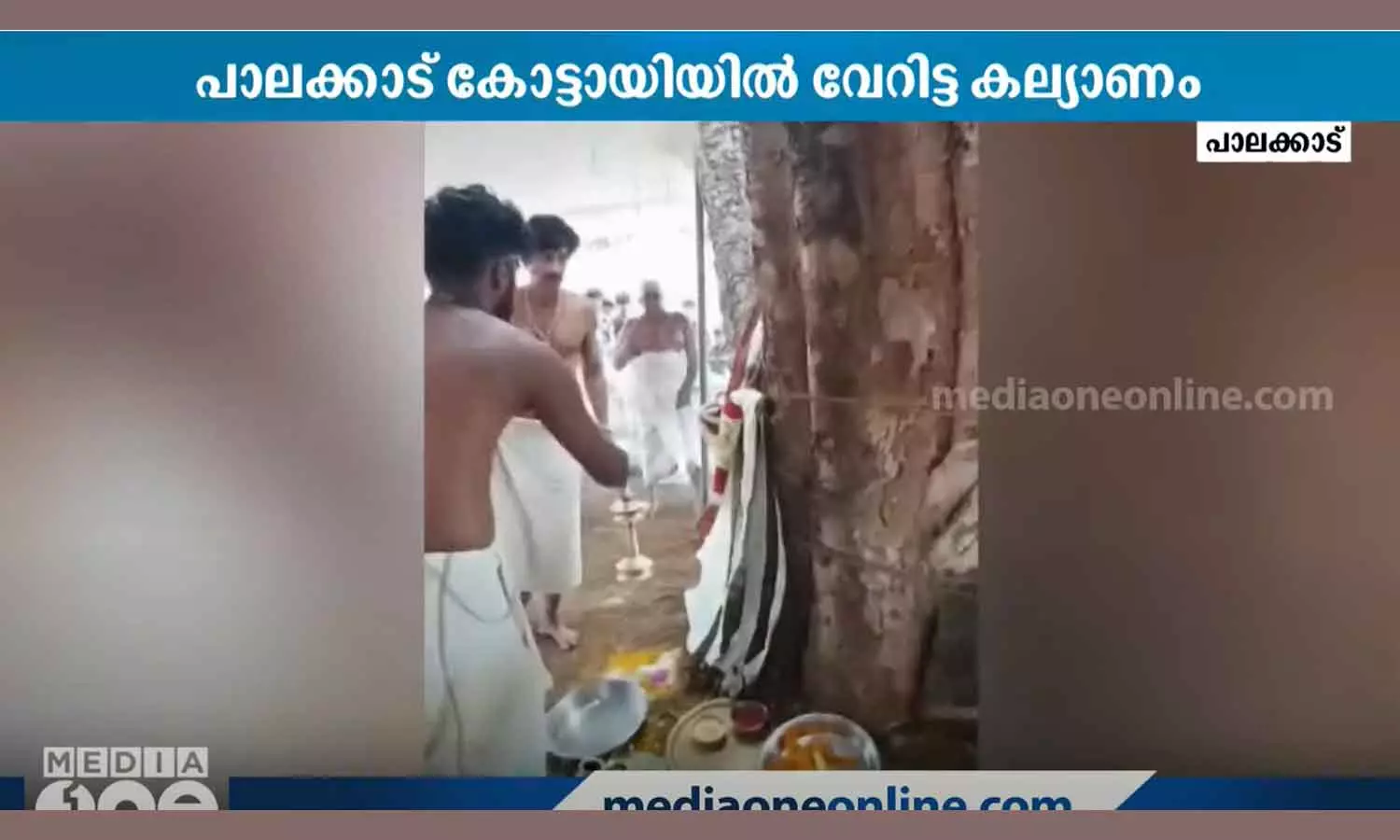 Al and Arivep get married for Mangalya Saubhagyam Al and Arivep get married for Mangalya Saubhagyam