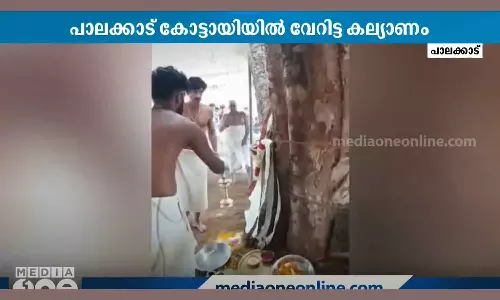 Al and Arivep get married for Mangalya Saubhagyam