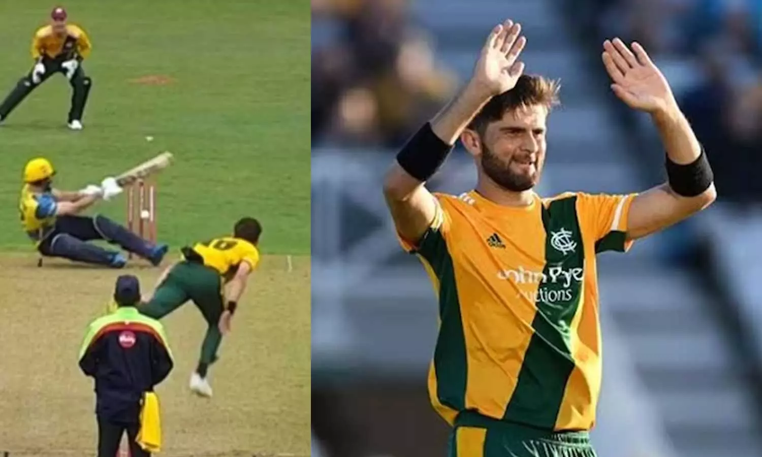 Shaheen afridi- T20 Blast