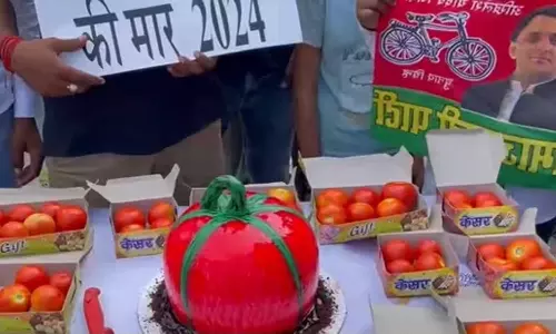 Tomato Price Hike,‘tomato’ cake, Akhilesh Yadavs 50th birthday,Samajwadi Party,Samajwadi Party workers celebrate Akhilesh Yadavs 50th birthday with ‘tomato’ cake