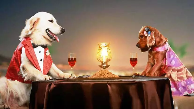 Valatty, Vijay Babu, വാലാട്ടി, വിജയ് ബാബു