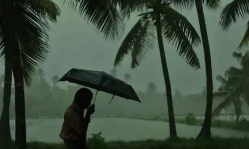 rain yellow alert in seven districts