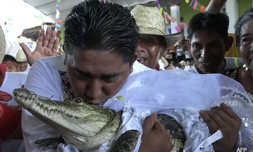 Mexican mayor marries crocodile to bring good luck to people
