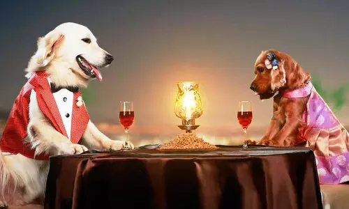 Valatty, Vijay Babu, വാലാട്ടി, വിജയ് ബാബു