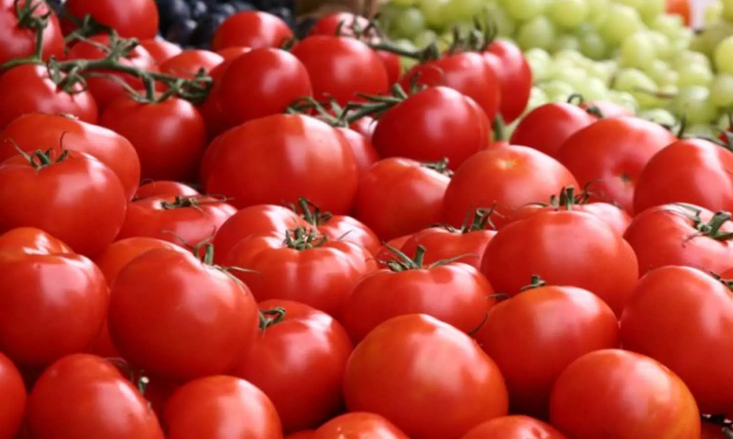 Tomato prices surge up to Rs 140/kg in Delhi-NCR, Tomato prices surge, Tomato price hike, Tomato