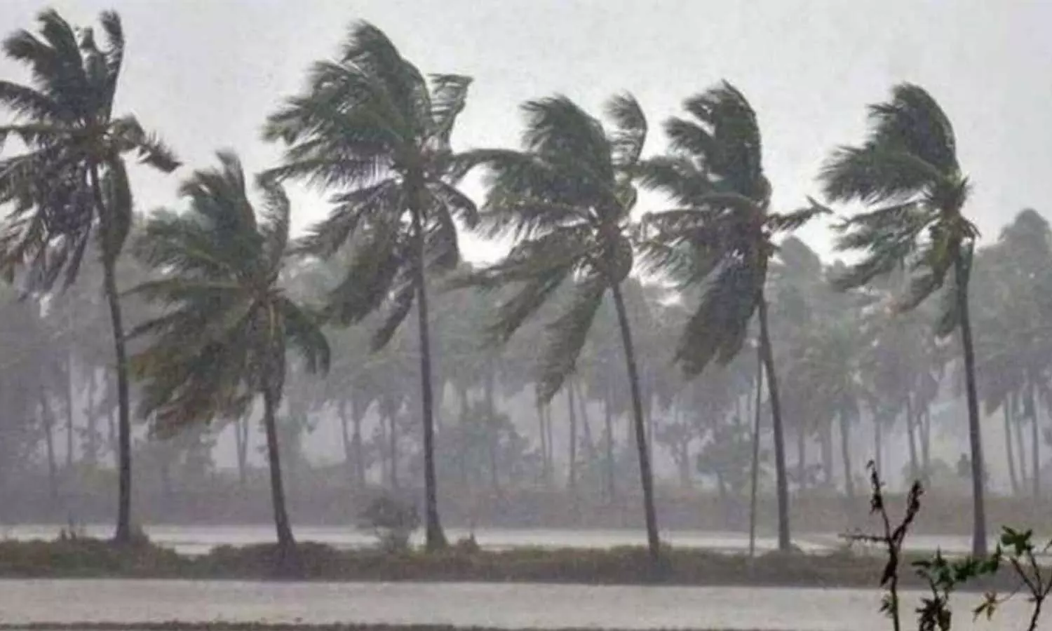 rain kerala rain kerala