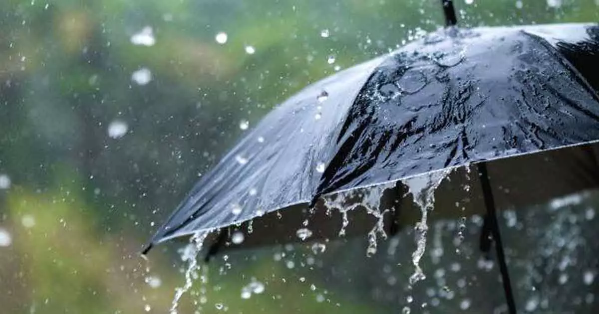 6 ജില്ലകളിലെ വിദ്യാഭ്യാസ സ്ഥാപനങ്ങള്ക്ക് നാളെ അവധി; ഈ ജില്ലകളില് നാളെ പ്ലസ് വണ് പ്രവേശനമില്ല 6 ജില്ലകളിലെ വിദ്യാഭ്യാസ സ്ഥാപനങ്ങള്ക്ക് നാളെ അവധി; ഈ ജില്ലകളില് നാളെ പ്ലസ് വണ് പ്രവേശനമില്ല