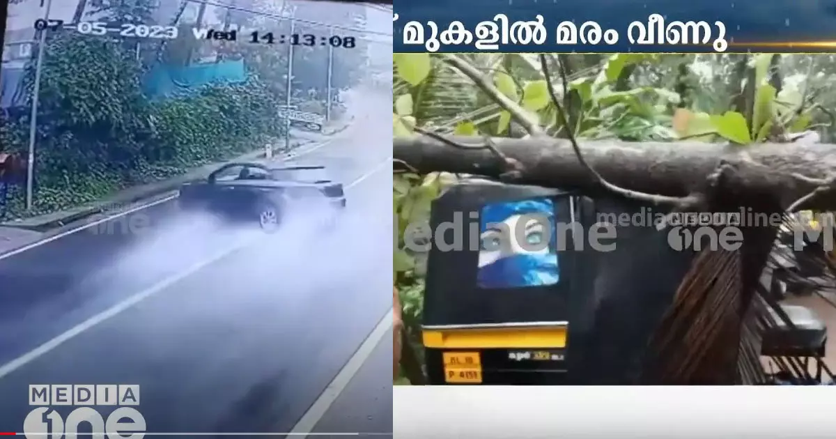 Tree falls on autorickshaw in Vadakara, car falls on post in Omassery, rain continues