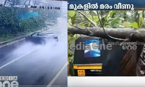 Tree falls on autorickshaw in Vadakara, car falls on post in Omassery, rain continues