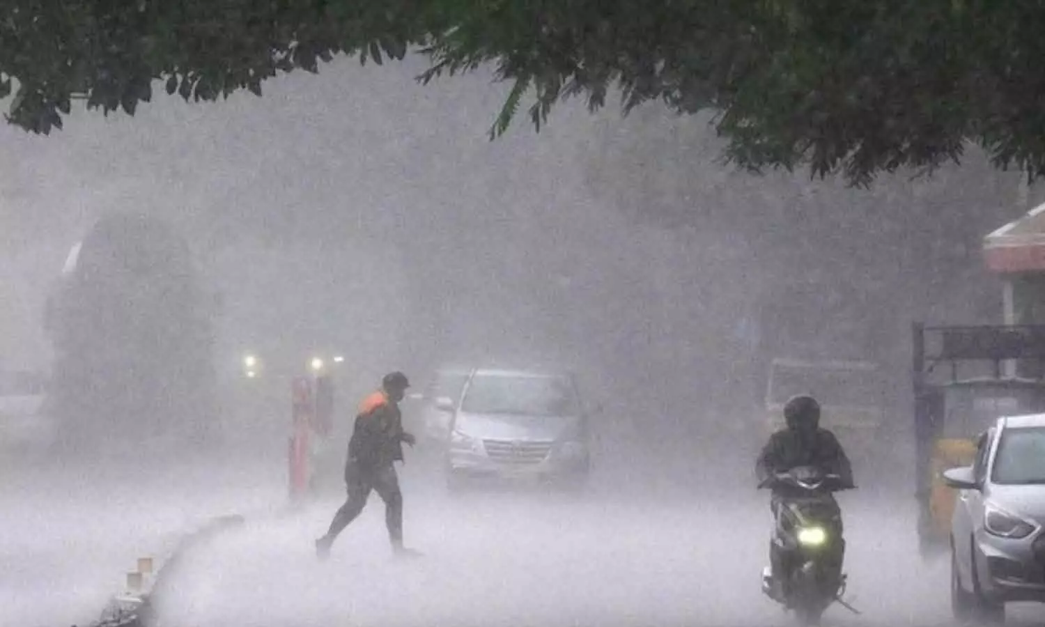 Kerala Rain Update Kerala Rain Update