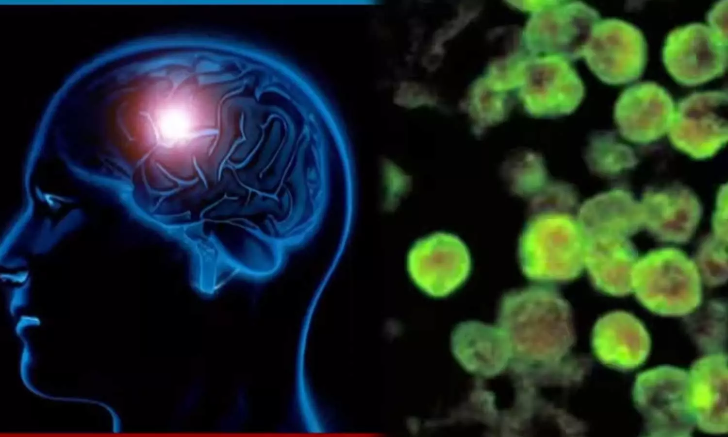 ആലപ്പുഴയിൽ അപൂർവ രോഗം ബാധിച്ച പതിനഞ്ചുകാരൻ മരിച്ചു; അമീബിക് മെനിഞ്ചോ എങ്കഫലൈറ്റിസ് ബാധിച്ചത് പാണാവള്ളി സ്വദേശിക്ക് ആലപ്പുഴയിൽ അപൂർവ രോഗം ബാധിച്ച പതിനഞ്ചുകാരൻ മരിച്ചു; അമീബിക് മെനിഞ്ചോ എങ്കഫലൈറ്റിസ് ബാധിച്ചത് പാണാവള്ളി സ്വദേശിക്ക്