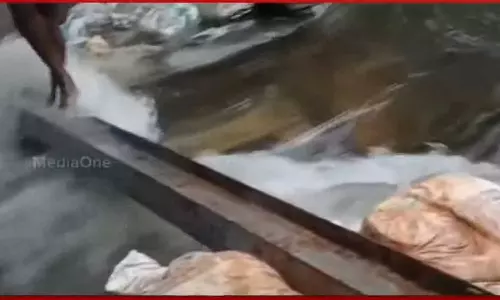 Kottayam 220 acres of paddy fields were submerged in water,kerala news,kerala news live,kerala rain,kerala rain update,kerala headlines,kerala,kerala rains,kerala rain alert,local kerala news,rain in kerala,kerala monsoon rain,heavy rain in kerala,monsoon rain in kerala,കാലവര്‍ഷം,കോട്ടയത്ത് മടവീഴ്ച,വീട് തകര്‍ന്നു